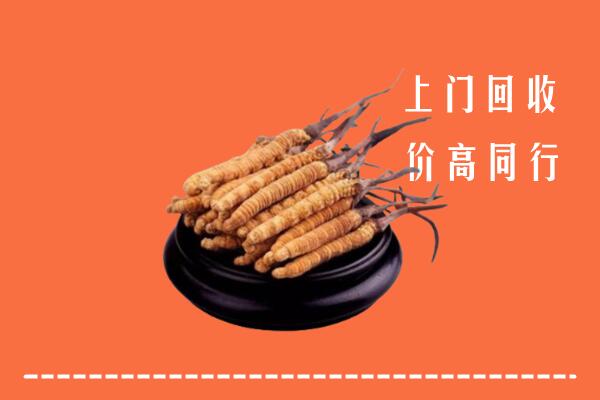 韶关市乳源回收散虫草