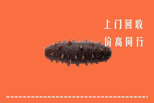 高价求购：韶关市乳源回收海参