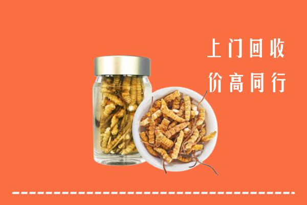 韶关市乳源回收冬虫夏草