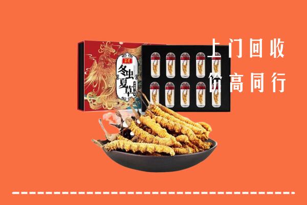 韶关市乳源回收虫草